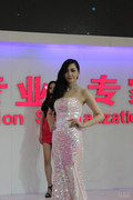 2012南京车展车模 