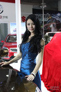 2013第十一届温州国际车展美女车模连连看 
