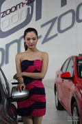 2013第十一届温州国际车展美女车模连连看 