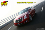 2010�������CTS�Լ�