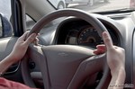 2010��ѩ��������ŷ���Ρ�