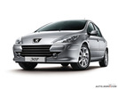 2010��������307���ᡭ