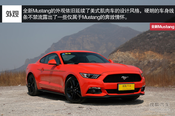  Mustang  ʵ ͼ ͼƬ