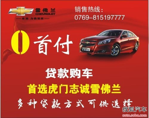 贷款收入证明_购车贷款收入证明文本(3)