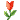 花开 花开