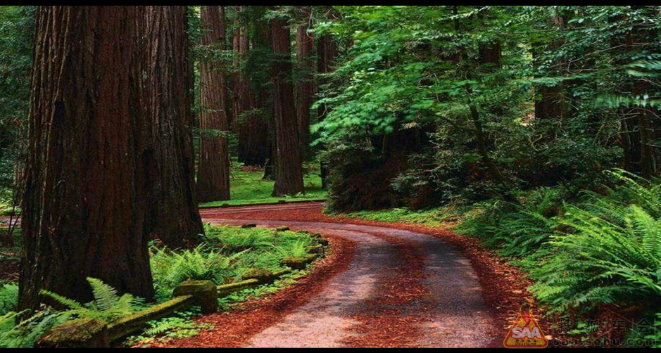 一条小路曲曲弯弯细又长……(续)- 搜狐车会