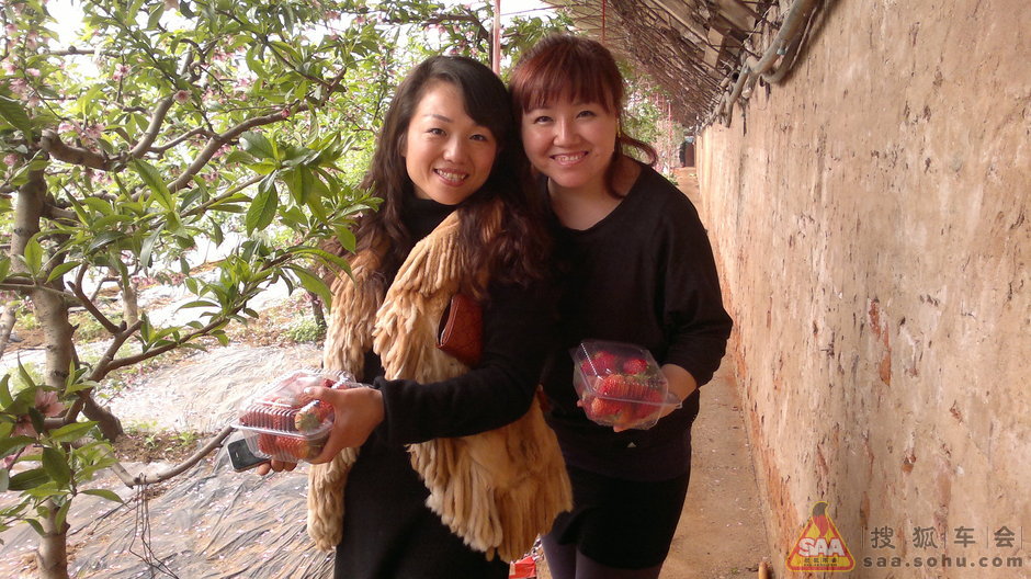 3月4日平谷鱼子山采摘草莓- 搜狐车会