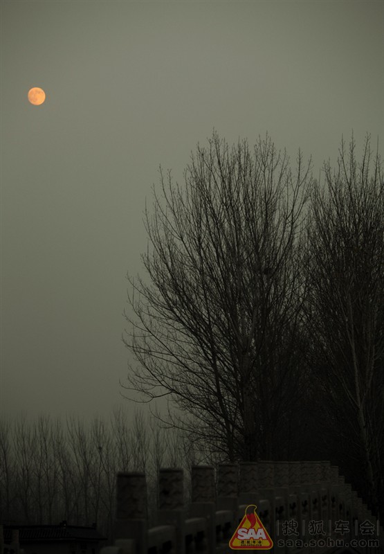 Img2473503_780.jpg