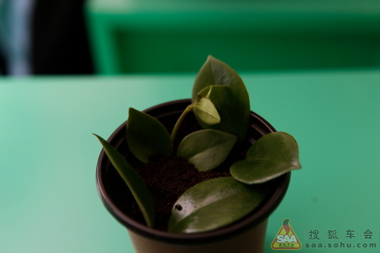 【喷子作品】【参加社会大课堂】之感受成长_