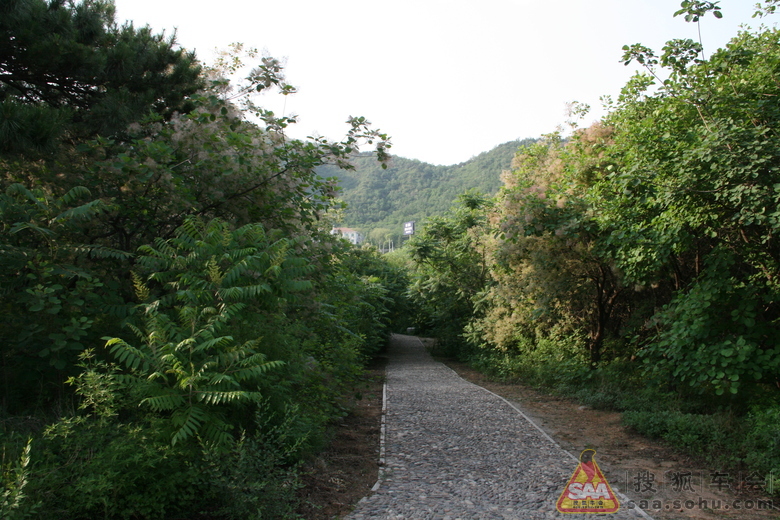 Img4509703_780.JPG