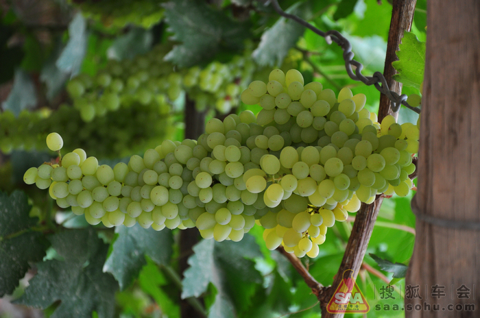 新疆是个好地方(天津-新疆自驾游)