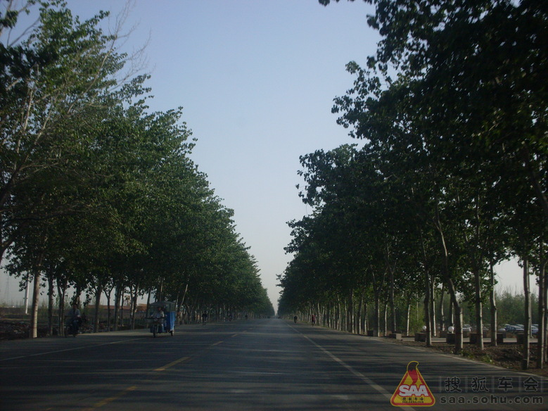 Img4430315_780.JPG