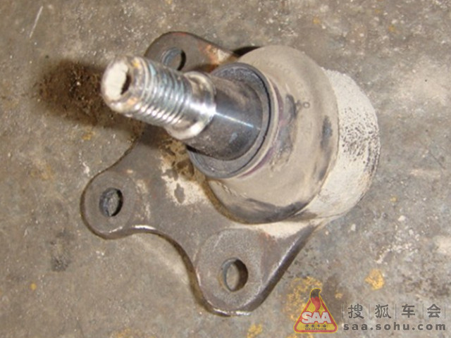 Img3074815_780.jpg