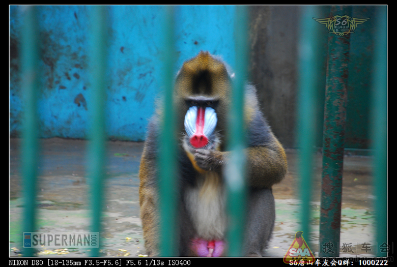 超人1000】S6唐山车友会7.28秦皇岛两日游 - 