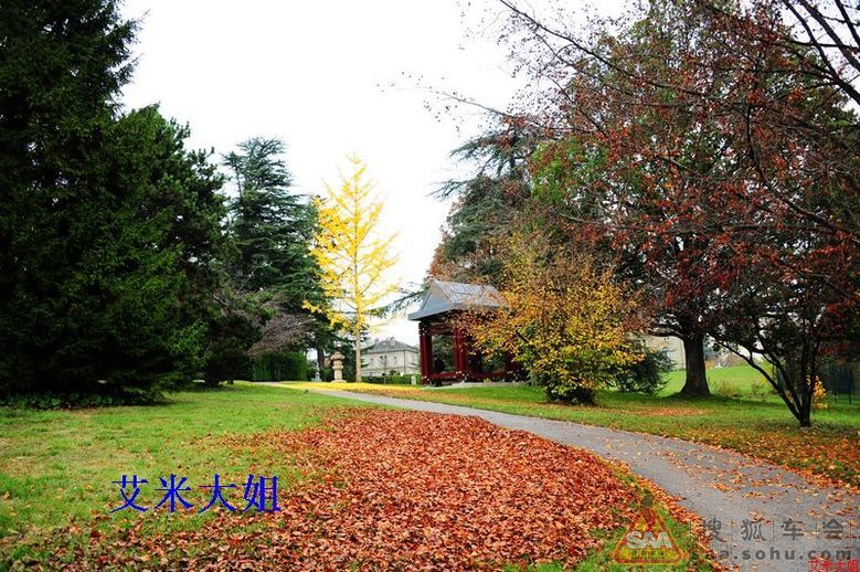 Img3012519_780.jpg