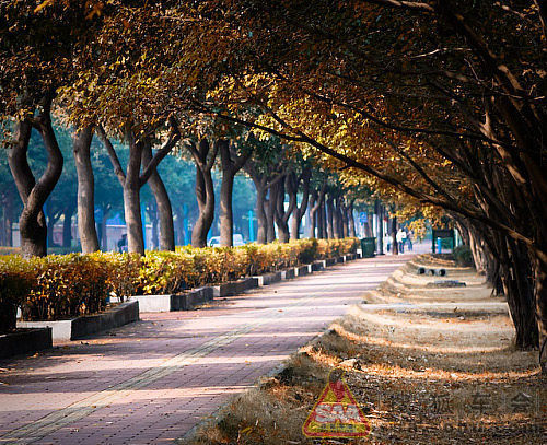 风情浪漫二沙岛 广州最适合情侣开车约会之地