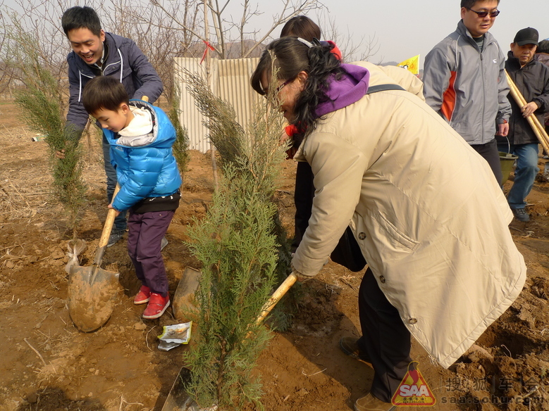 有意义的植树活动 - 哈弗M2车友会
