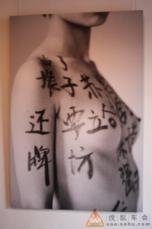 观《苏紫紫人体艺术展》_花冠论坛_搜狐车友会