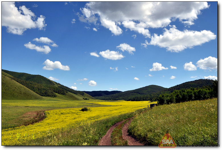 草原旅游最佳季节到了,同学们来草原啊!