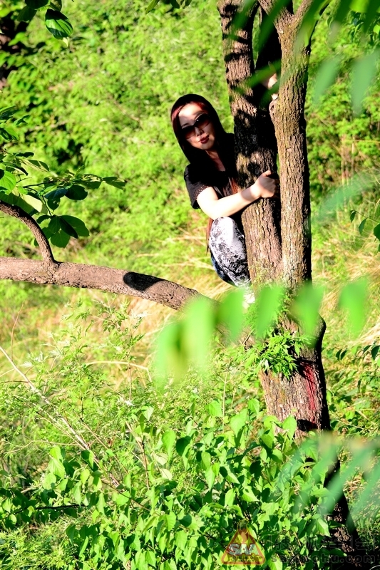 紫藤花开小木屋拍蛇妖 - 宠爱假日