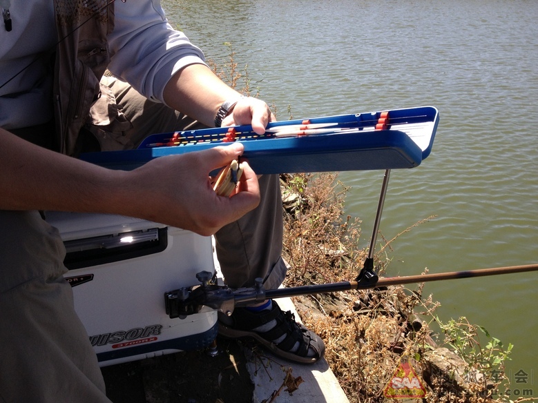 小伙伴【自驾游】通州森林公园烧烤垂钓一日游