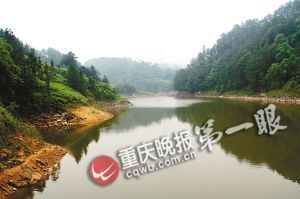 史前巨大蚯蚓