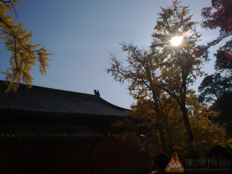 周三不收门票的大觉寺之游(手机版)_汽车60部