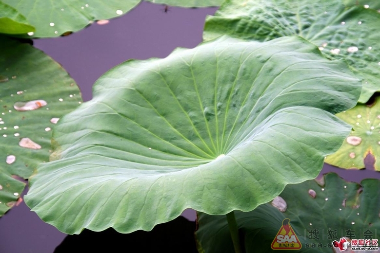 从哪里出发--邯郸游】