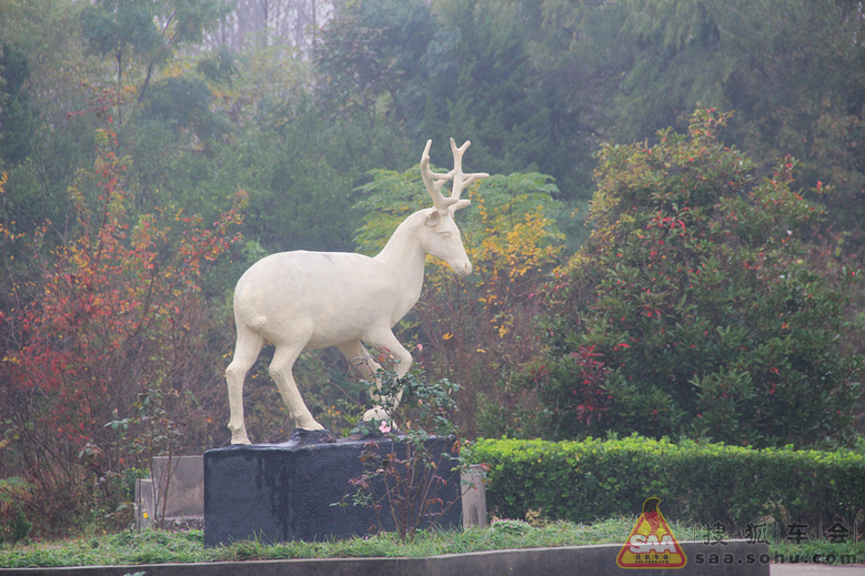 【淮车写手】秋之行--探访大丰麋鹿国家级自然
