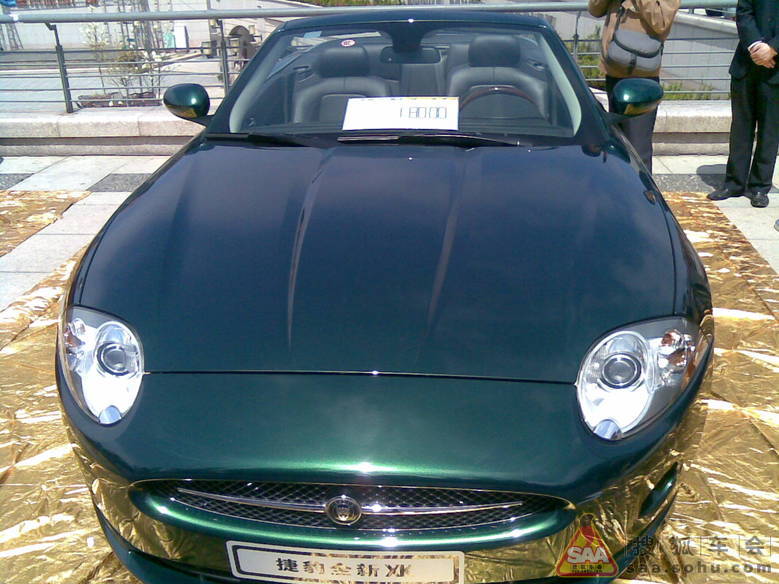 Img4333543_780.JPG