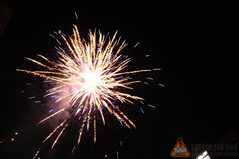 【十五闹元宵】正月十六花正开