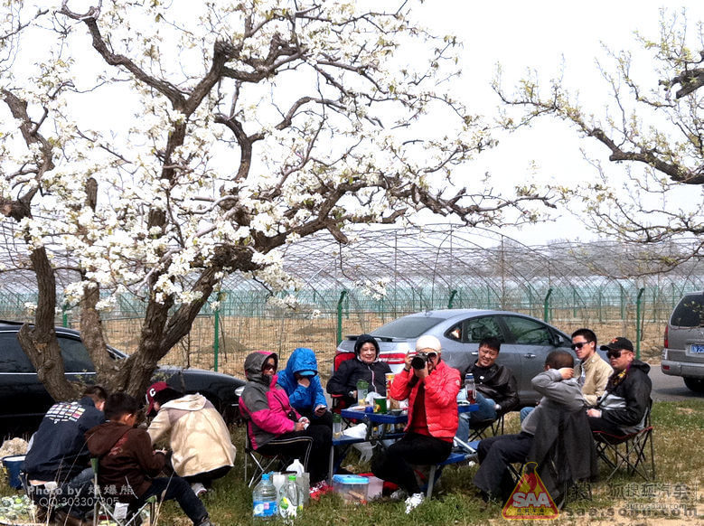 [别动队大兴赏梨花]路书、烧烤、贡树、梨花村