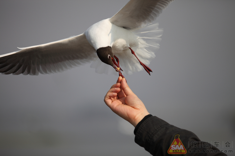 怀念曾经在云南的那段柔软时光~!