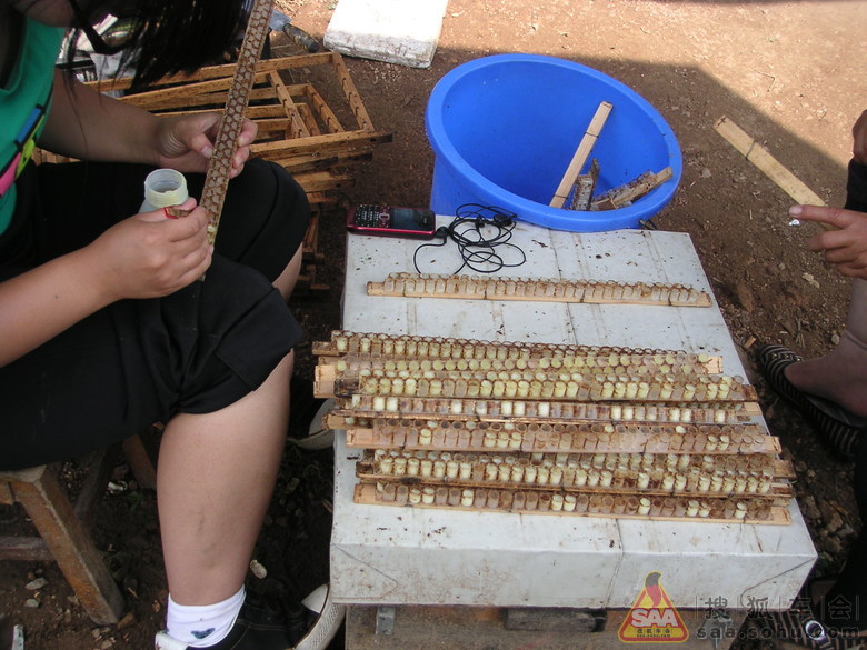 周末黑龙潭、密云水库农家院自助烧烤FB两日