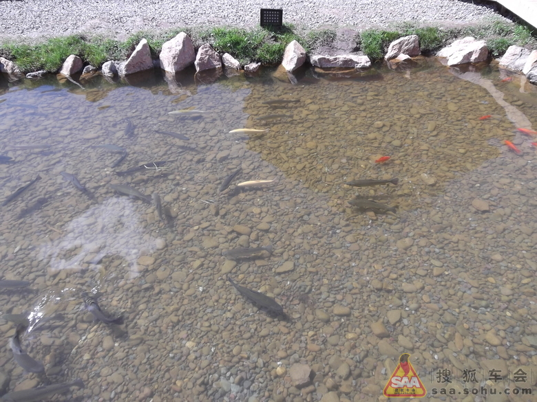 甘肃张掖民乐扁都口国际自驾游营地