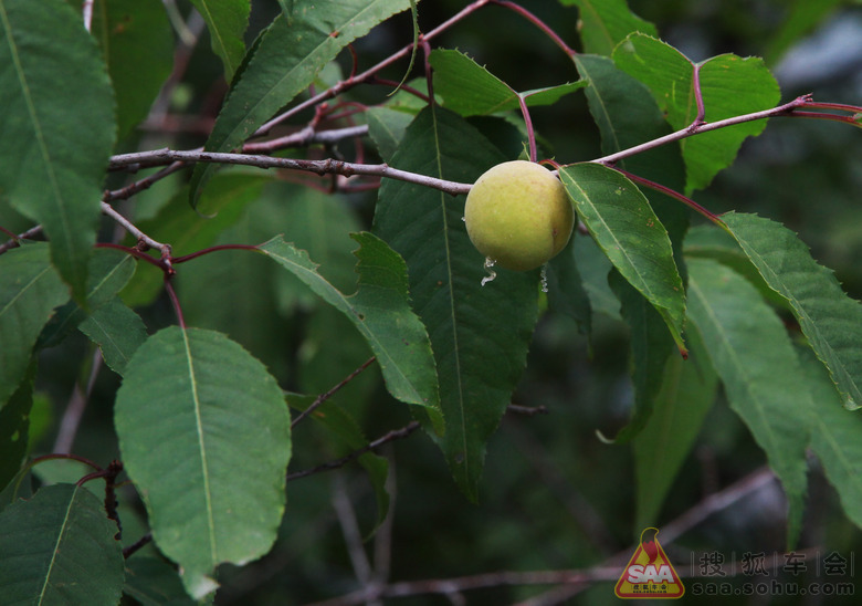 辉县罗姐寨、葫芦坝两日游_安阳车友会