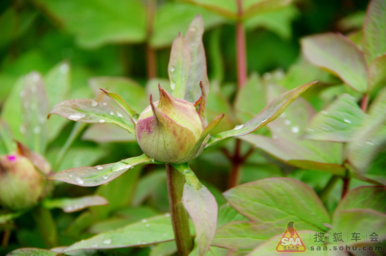 自驾一日游---常熟尚湖_上海车友会