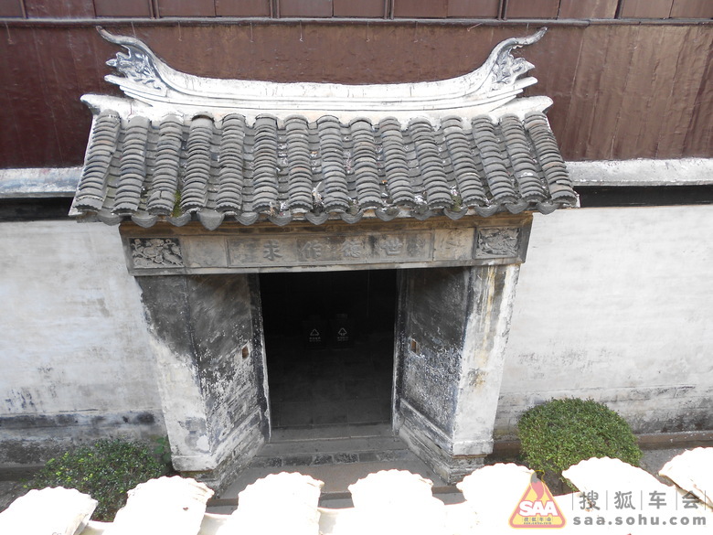 赞美蓝睡莲的句子图片大全_赞美蓝睡莲的句子