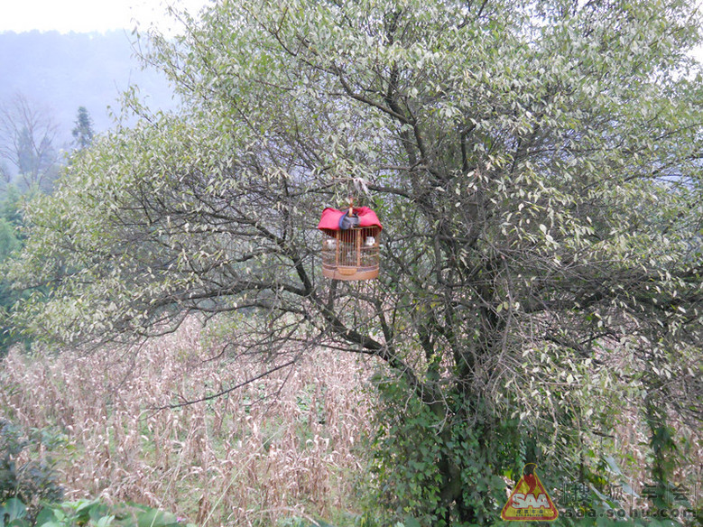 ★且歌且行:国庆节欢乐时光记忆★