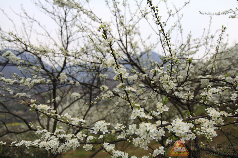 川西田园风光.彭州葛仙山