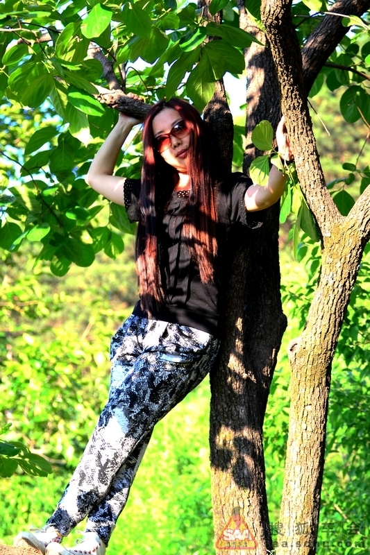 紫藤花开小木屋拍蛇妖 - 宠爱假日