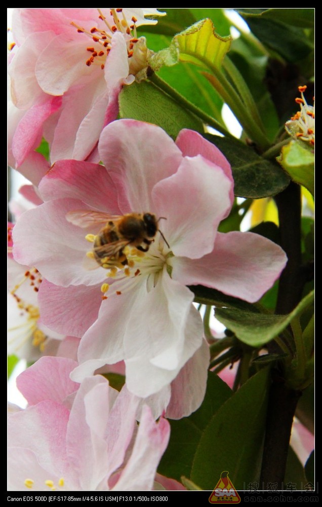 2012 年 每日打卡金帖- 有照片或佳句逢九必奖