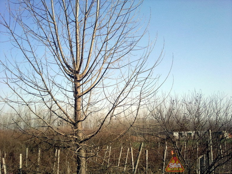 一路风尘仆仆,到达济南啦