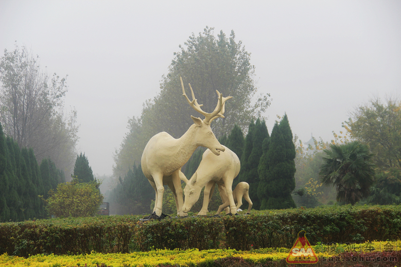 【淮车写手】秋之行--探访大丰麋鹿国家级自然