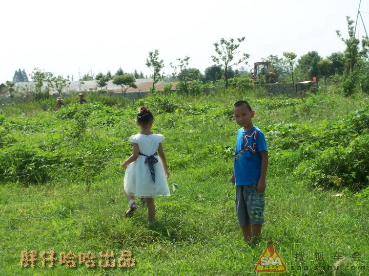 [我的假期-游记]偷菜不成就放羊