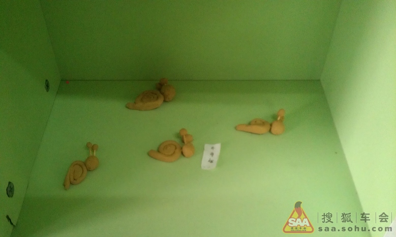 我的小<em>鳌虾</em>长大了 - 雨燕车友会