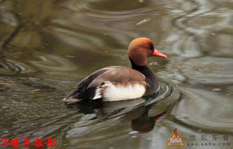 2012年8月3日 星期五 打卡贴