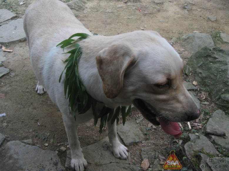 上海-浙江嘉兴南北湖一日游_上海车友会
