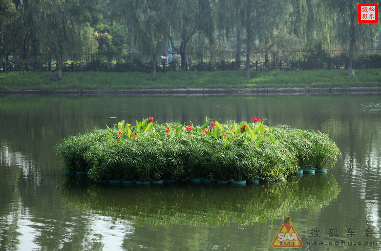 北京顺义减河公园水上花坛