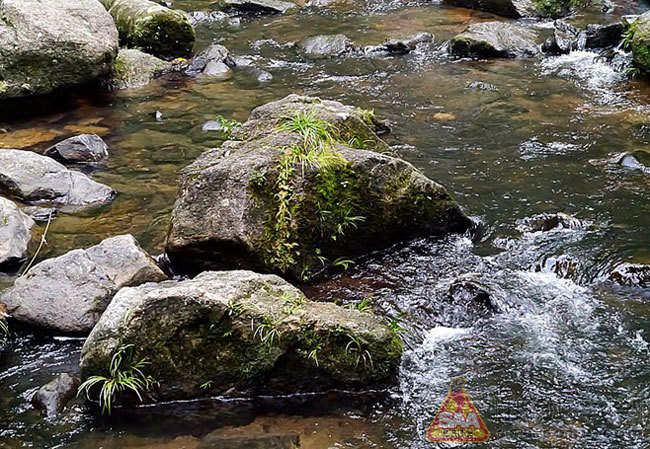 暨南昆山一日游,由斯巴鲁赐予_斯巴鲁车友会_